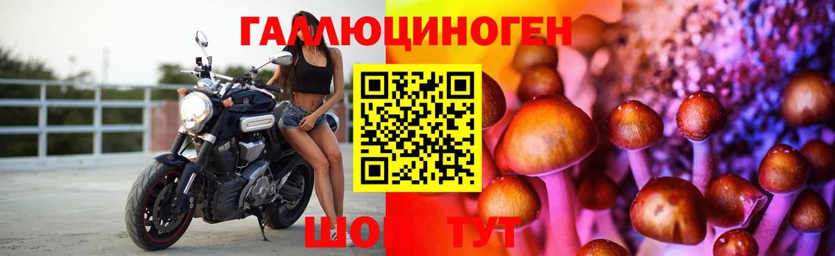 Галлюциногенные грибы GOLDEN TEACHER  Вход с VPN  Реутов 
